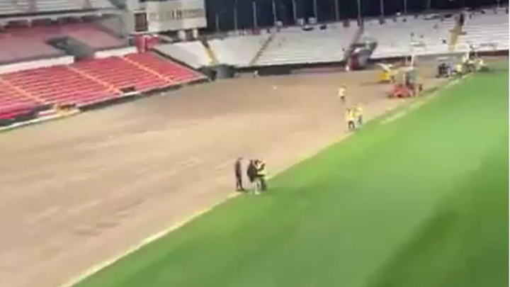 El estadio de Vallecas estrenará césped frente al Oviedo