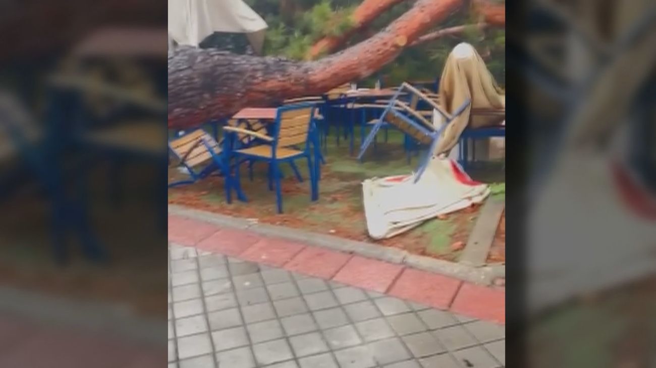 Un árbol de grandes dimensiones cae sobre la terraza de un bar en Hortaleza y destroza mesas y sillas