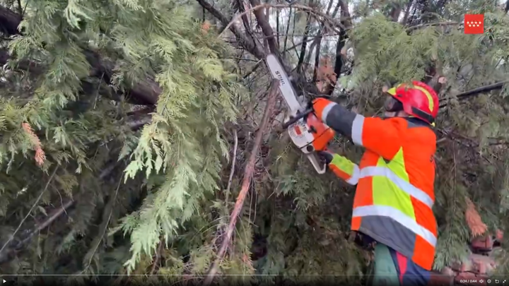 Un bombero de la Comunidad trocea un árbol caído sobre un coche en Majadahonda