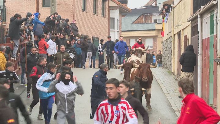 Valdemorillo celebra San Blas y La Candelaria con la primera feria taurina de la temporada