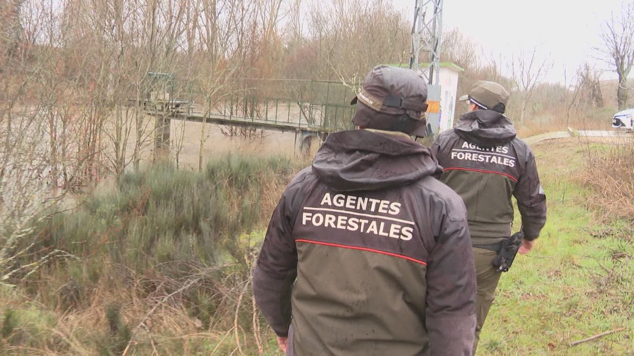 Los agentes forestales vigilan sin descanso los cauces de los ríos madrileños