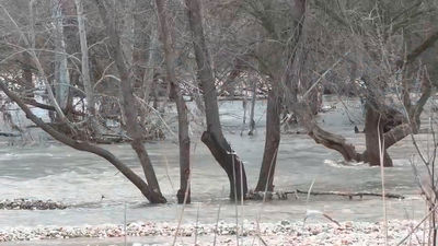 Madrid sigue  alerta  por el cauce del Henares, el Alberche y  el Jarama