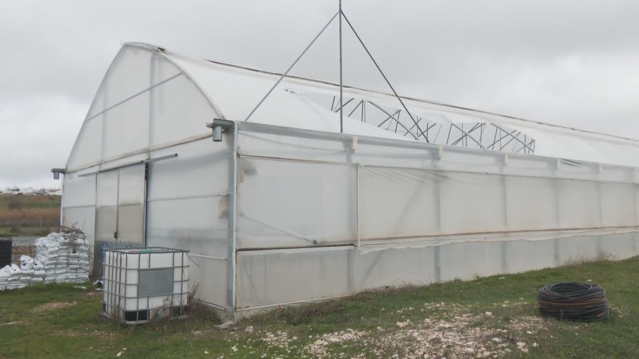 Invernaderos destrozados y ríos crecidos en Aranjuez: el campo madrileño, en alerta