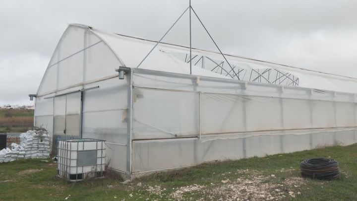 Invernaderos destrozados y ríos crecidos en Aranjuez: el campo madrileño, en alerta