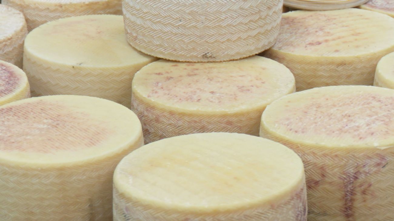 ¿Cómo se produce el queso de oveja? Viajamos a Ciempozuelos para descubrirlo