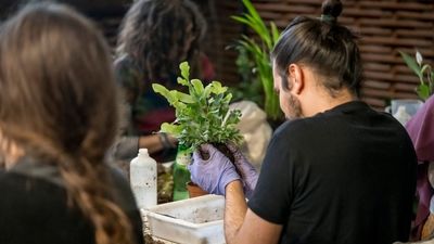 Matadero Madrid volverá a celebrar Biophest, el festival que conecta con la vida vegetal
