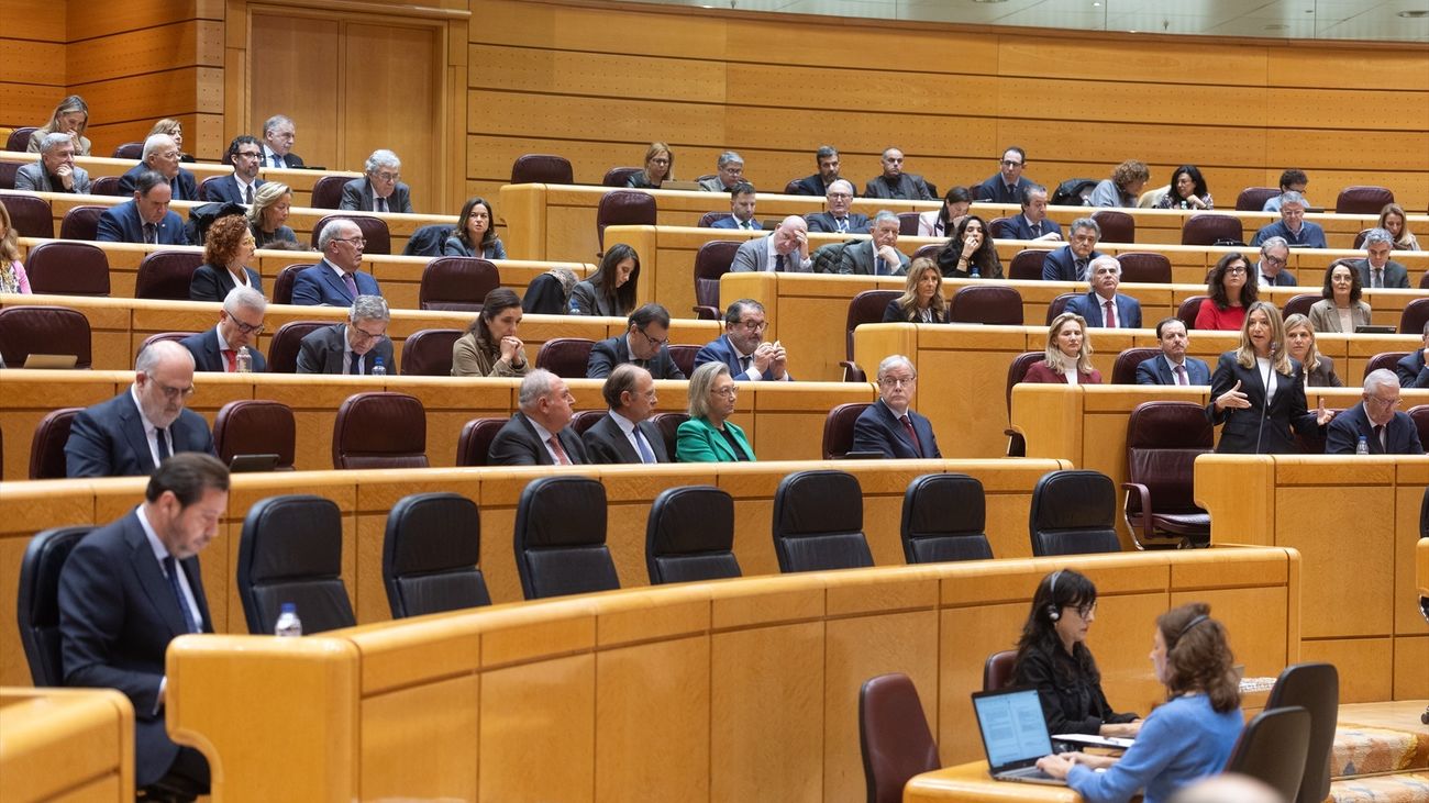 El ministro de Transportes y Movilidad Sostenible, Óscar Puente, comparece en el Senado para dar cuenta del caos ferroviario