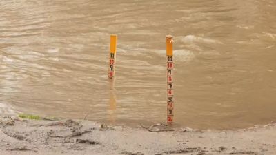 Continúa la alerta roja en los ríos Henares, Jarama y Alberche
