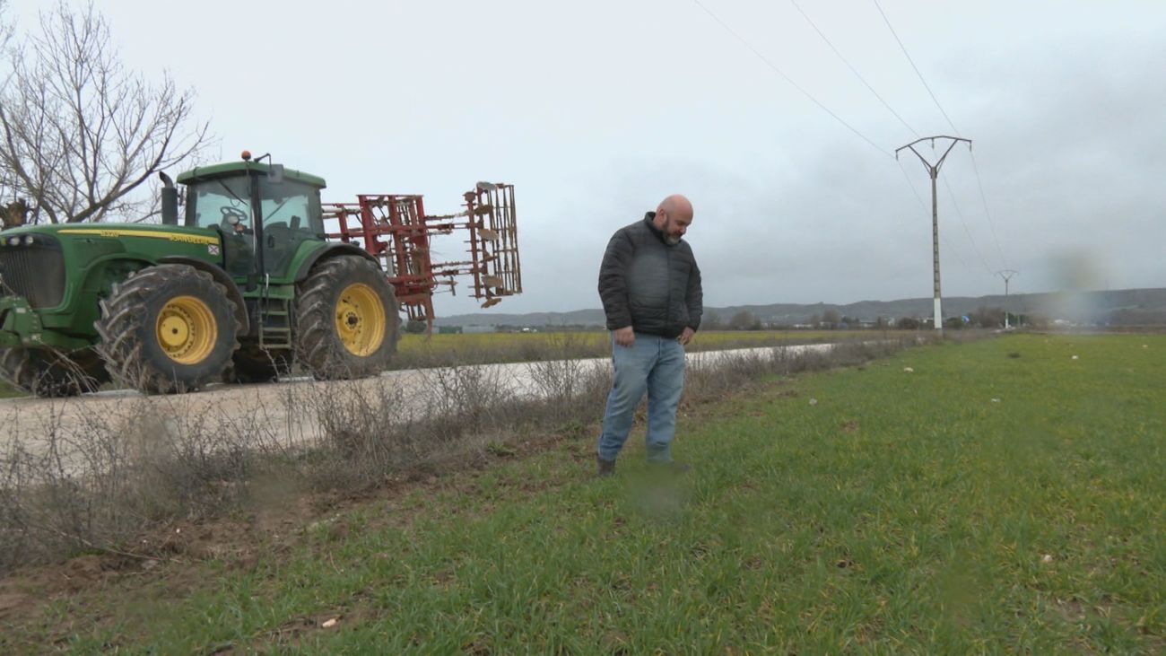 Gonzalo Rodríguez: la visión de un agricultor de Valdetorres del Jarama del panorama agrícola actual