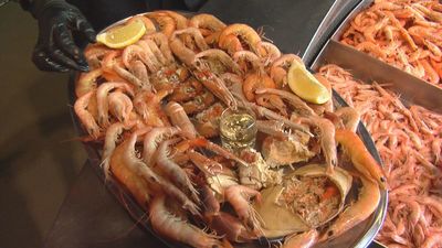 El templo del marisco de Getafe: 50 años de tradición y la fórmula para venderlo a 16 euros por cabeza