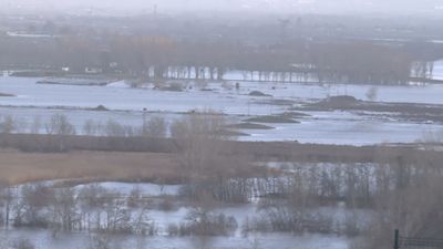 El río Jarama se desborda y crea una marisma entre Titulcia y Ciempozuelos
