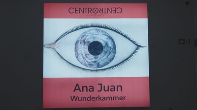 Ana Juan convierte CentroCentro en un 'gabinete de maravillas'