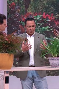 Cómo decir 'te quiero' con plantas
