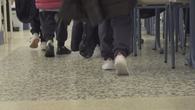 Tres de cada cuatro comedores escolares no garantizan el consumo recomendado de pescado azul