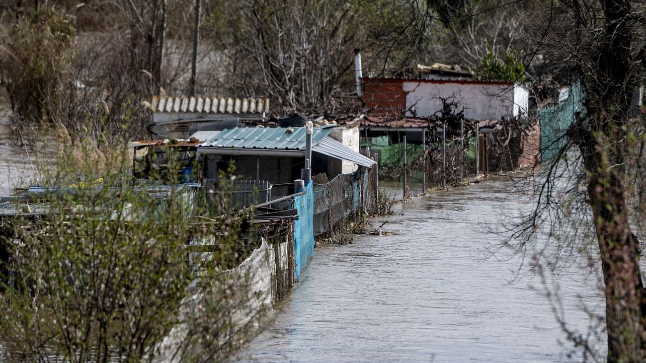Zona de cultivos afectada por la crecida del Jarama en San Fernando de Henares