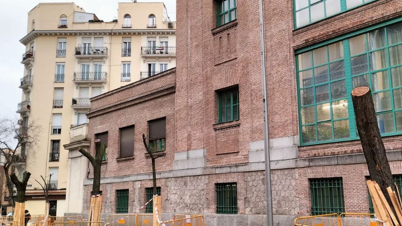 Arbolado afectado por las obras de la nueva estación pasante de Atocha