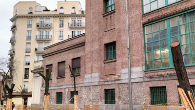 Denuncian la destrucción de arbolado en las obras de  la nueva estación de Atocha