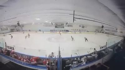 Un tiroteo durante un partido de hockey en EEUU deja al menos 3 muertos, entre ellos el agresor