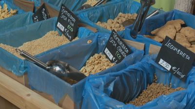 Los texturizados: descubre todos sus beneficios, tipos y cómo cocinarlos en Móstoles