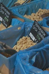 Los texturizados: descubre todos sus beneficios, tipos y cómo cocinarlos en Móstoles