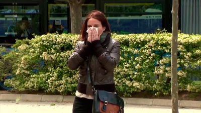 El tren de borrascas dispara las alergias en Madrid: se acerca un pico brusco de polen