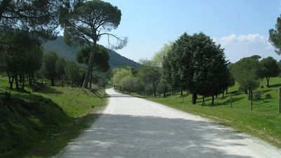 Robledo anima a sus vecinos a aprovechar los restos de árboles derribados por el viento