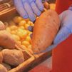 ¿Batata o boniato? Aprende a diferenciarlos en el Mercado de Chamartín