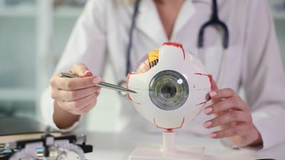 No solo las pantallas: la falta de luz y el enfoque cercano influyen en la miopía