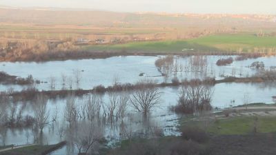 Aranjuez rebaja la alerta por riesgo de inundaciones al mejorar la situación del Jarama