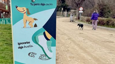 Si no vas a recoger la caca de tu perro en Galapagar, mira hacia arriba