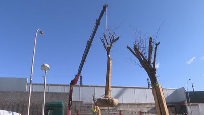 Vecinos y ecologistas protestan contra Adif por las talas en el entorno de Atocha
