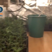 Cae el clan familiar de 'La Oficina': 13 cultivos de marihuana en un bloque entero de pisos en Villaverde
