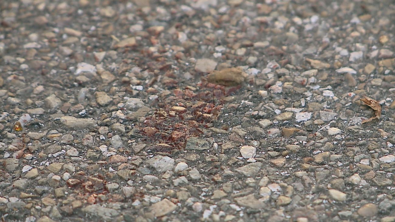 Restos de sangre del apuñalamiento de un menor a otro en Valladolid