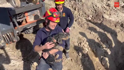 El angustioso rescate de una perrita atrapada en una madriguera en Valdemoro