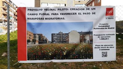 Mariposas migratorias en Carabanchel fruto de la imaginación vecinal