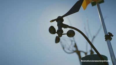 Del arado al dato: la revolución tecnológica llega al campo