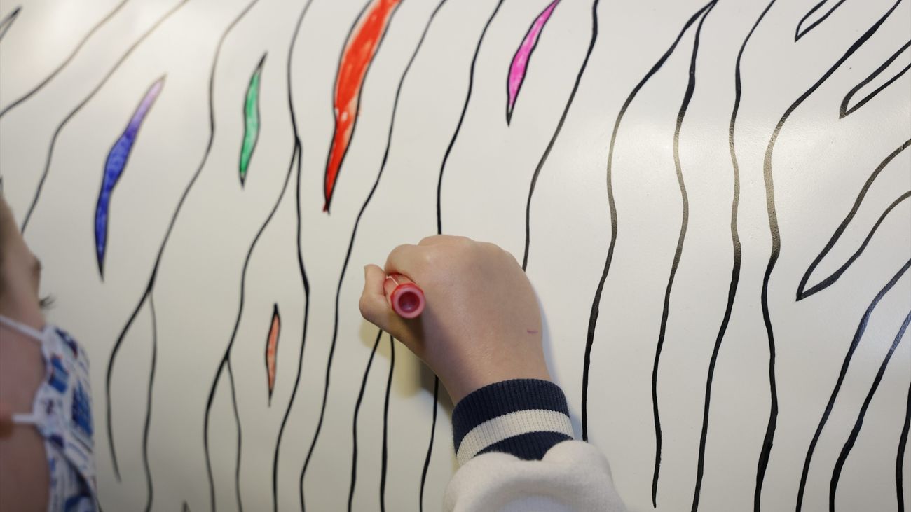 La Paz inaugura la instalación de una cebra de tamaño natural, símbolo internacional de las Enfermedades Raras