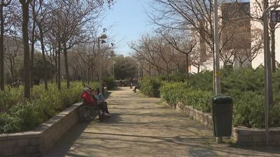 Detenido por violar, pegar y robar a una joven de 20 años en unos jardines de Retiro