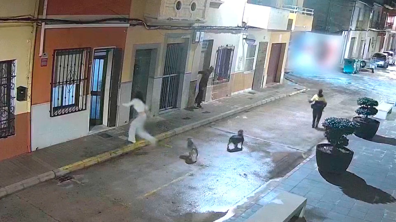 El mordisco de un perro frustra el secuestro de una mujer en Valencia