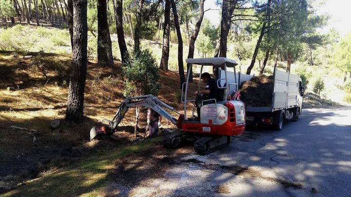 Madrid apuesta por recuperar los ecosistemas de sus espacios naturales