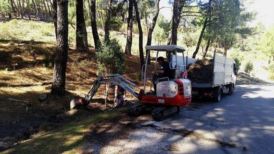 Madrid apuesta por recuperar los ecosistemas de sus espacios naturales