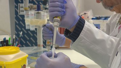 Madrid crea 'Lánzate' para captar talento investigador