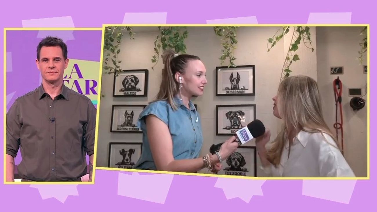 Escapadas sin culpa: hoteles de lujo para perros, la nueva tendencia