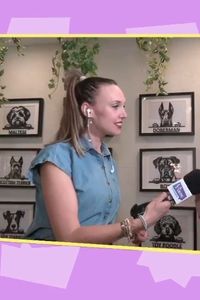 Escapadas sin culpa: hoteles de lujo para perros, la nueva tendencia