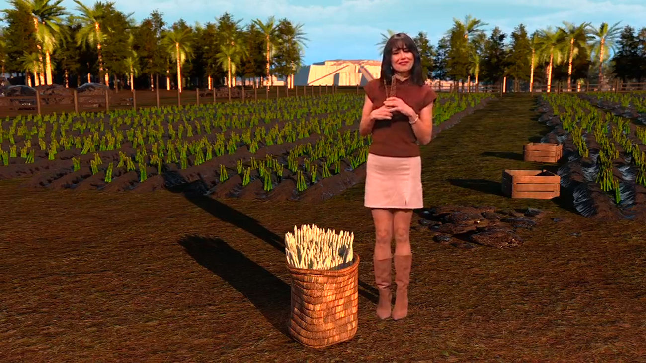 El origen de los cultivos esparragueros