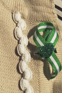 Getafe se tiñe de verde y blanco para celebrar el día de Andalucía