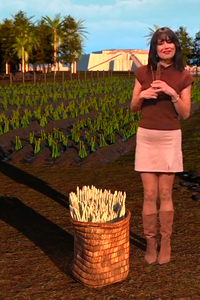 El origen de los cultivos esparragueros