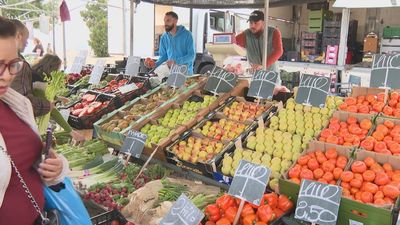 San Sebastián de los Reyes estrena nuevo día para su tradicional mercadillo