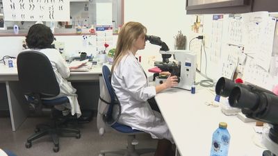 Madrid lanza una plataforma pionera para unificar los datos genéticos y mejorar los diagnósticos de los pacientes