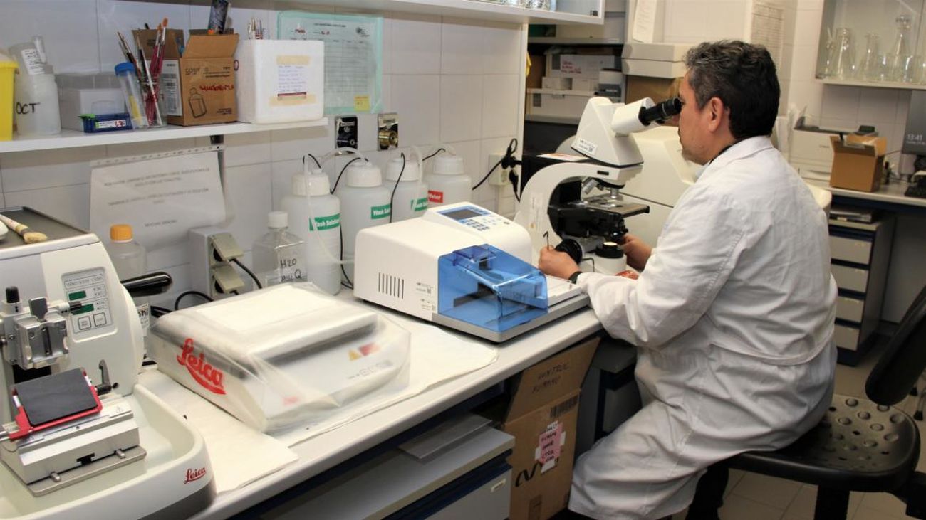 Análisis clínicos en un laboratorio